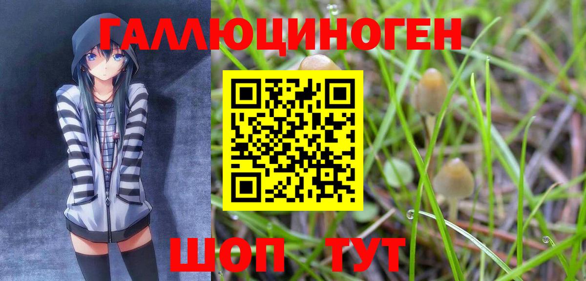 Галлюциногенные грибы MAGIC MUSHROOMS  Псилоцибиновые грибы ЛСД  Долгопрудный  Вход с VPN 